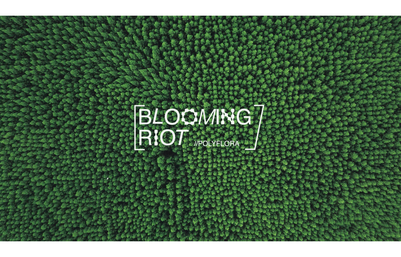 Polyflora — photo 1