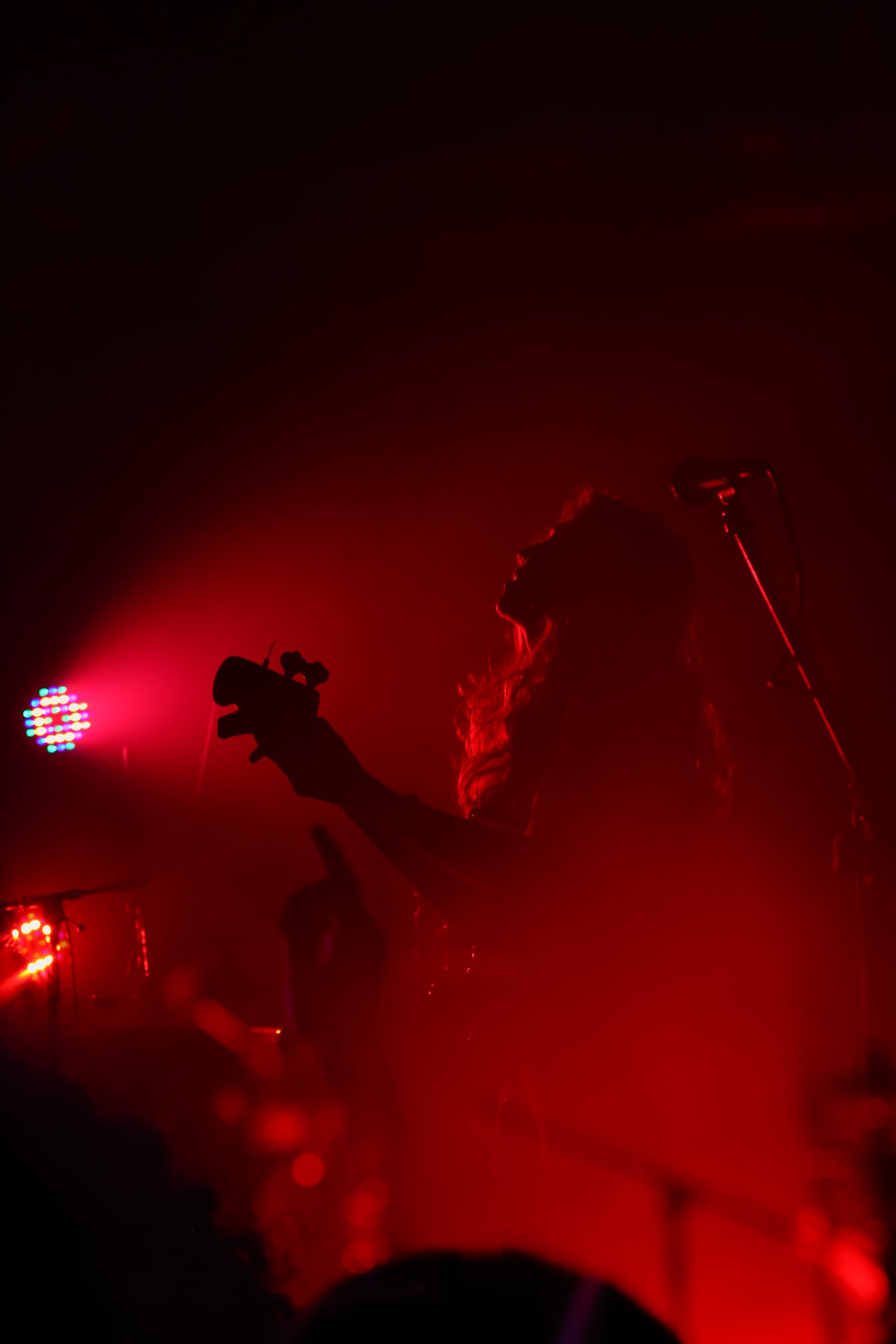 Ravid Plotnik — photo 3