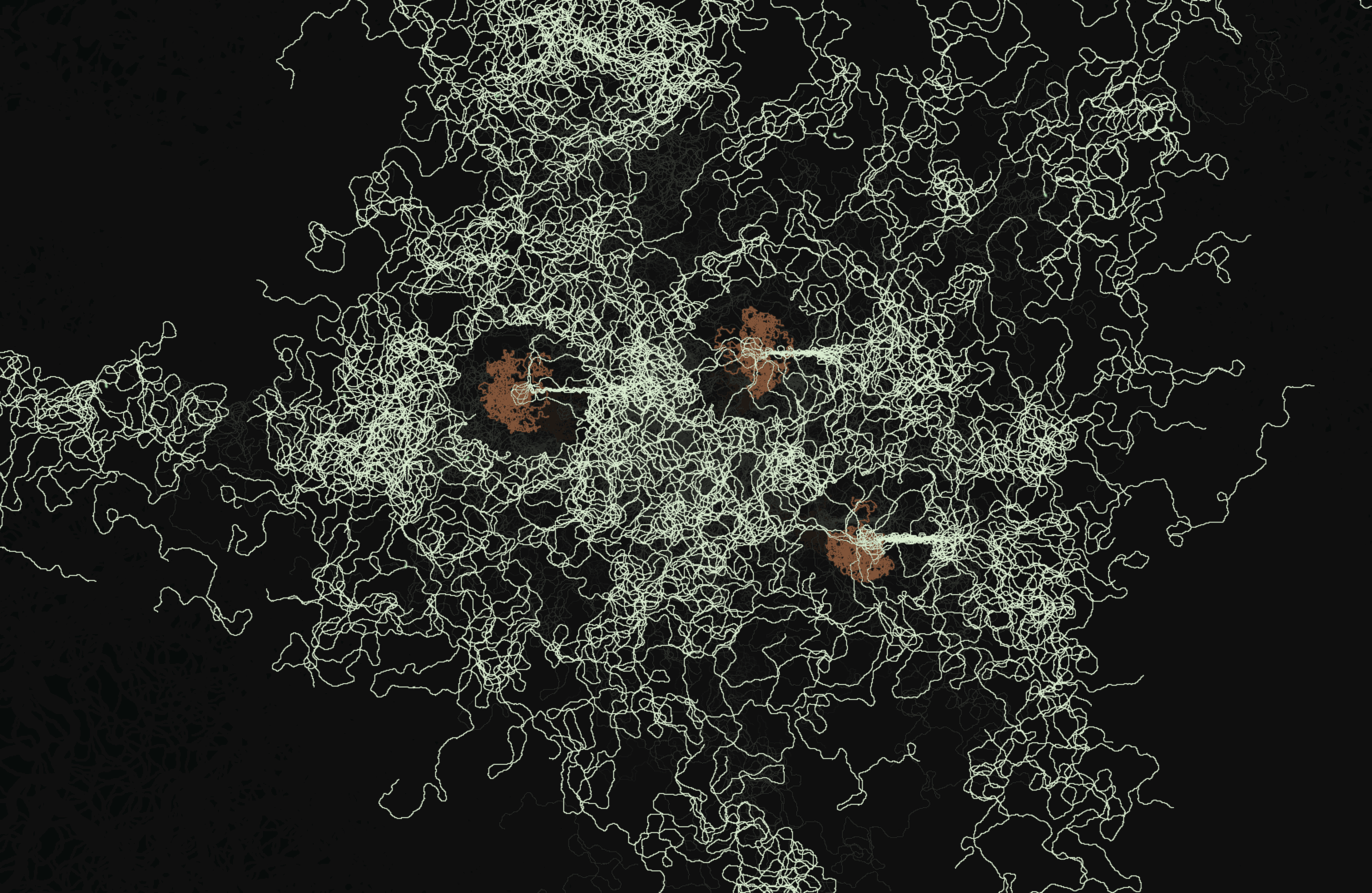 Mycelium Rosetta Stone — photo 2