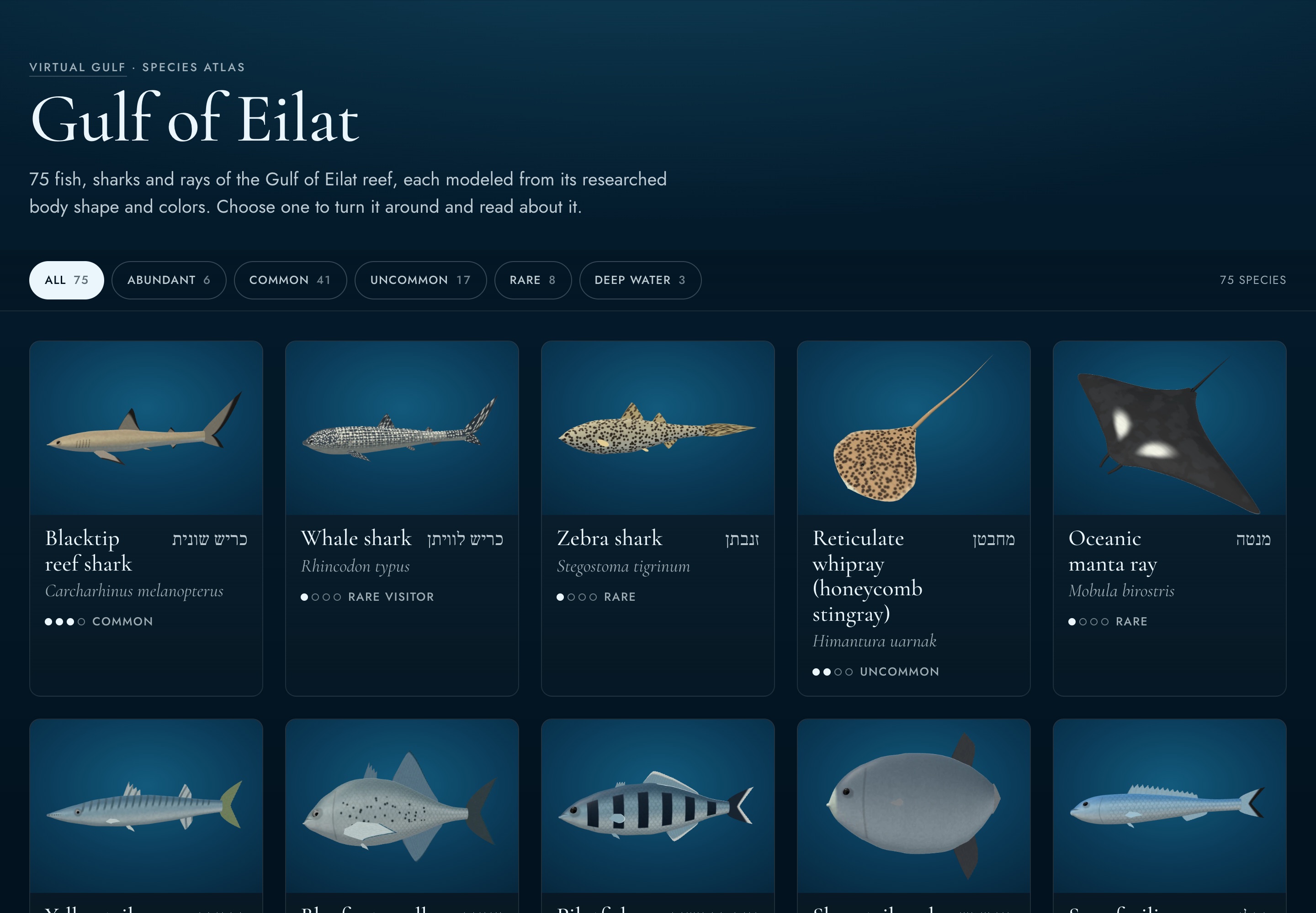 Virtual Gulf, photo 4