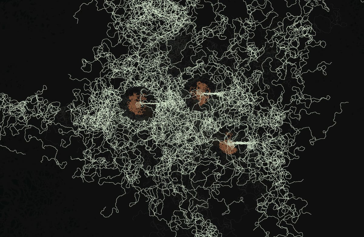 Mycelium Rosetta Stone — photo 2